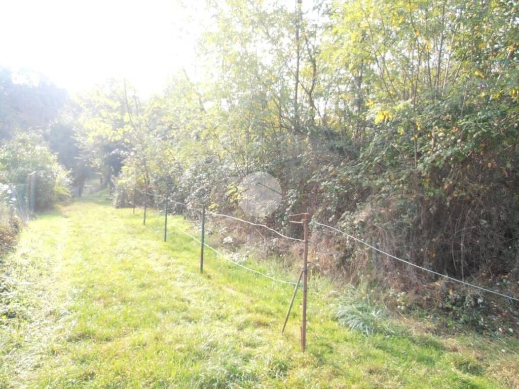 immagine annuncio 6 di 8
