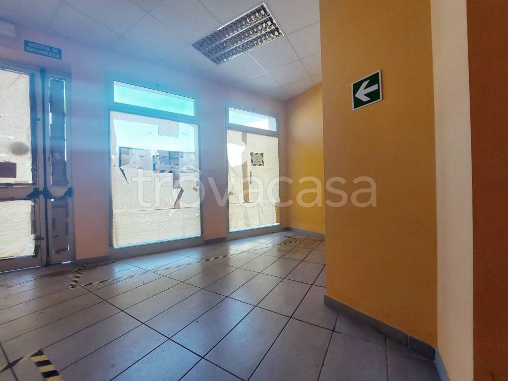 immagine annuncio 4 di 8