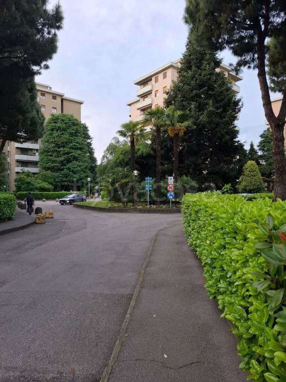 immagine annuncio 2 di 12