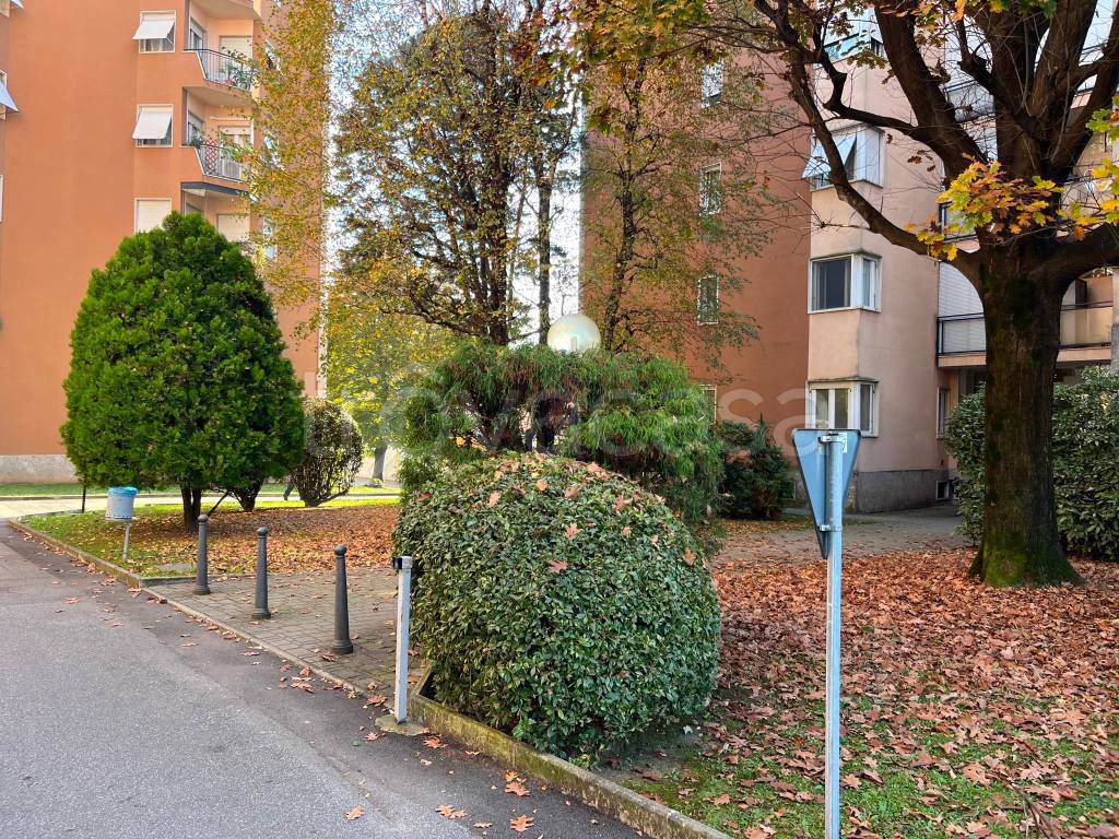 immagine annuncio 9 di 11