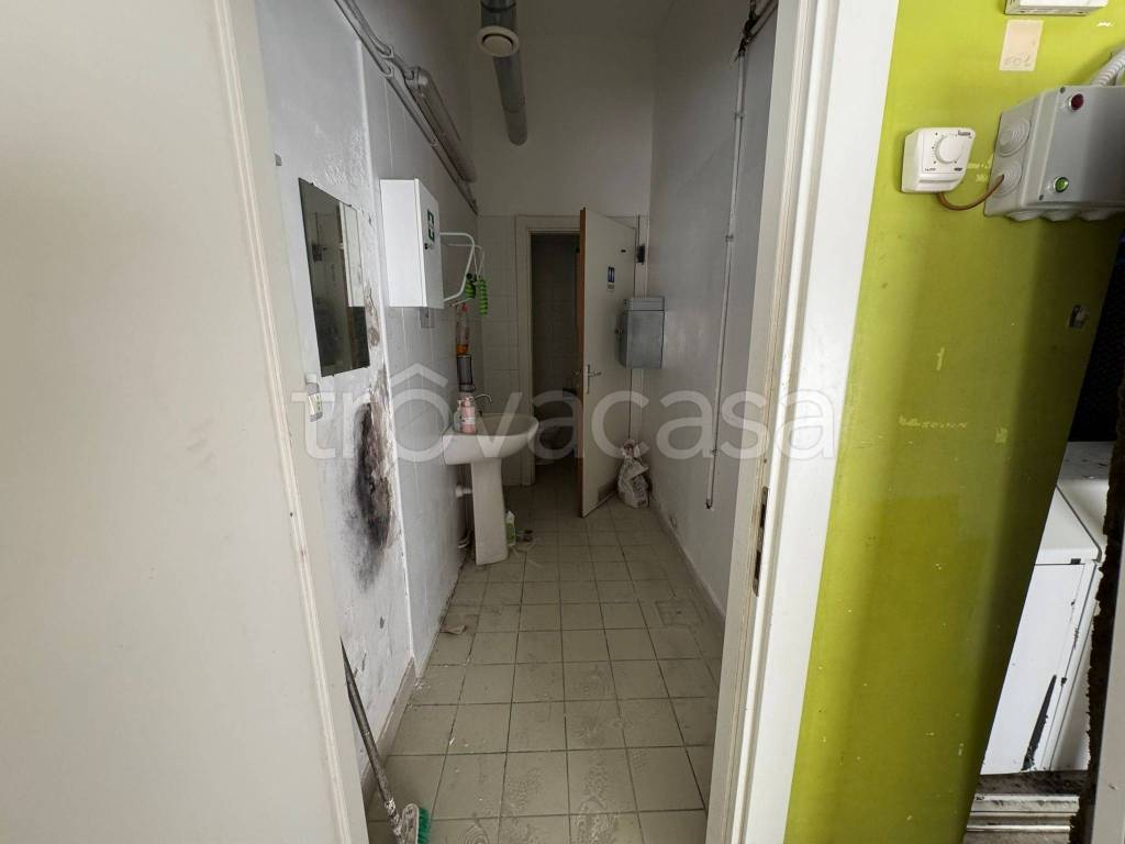 immagine annuncio 5 di 14