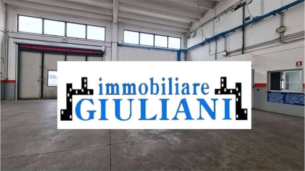 immagine annuncio 11 di 12