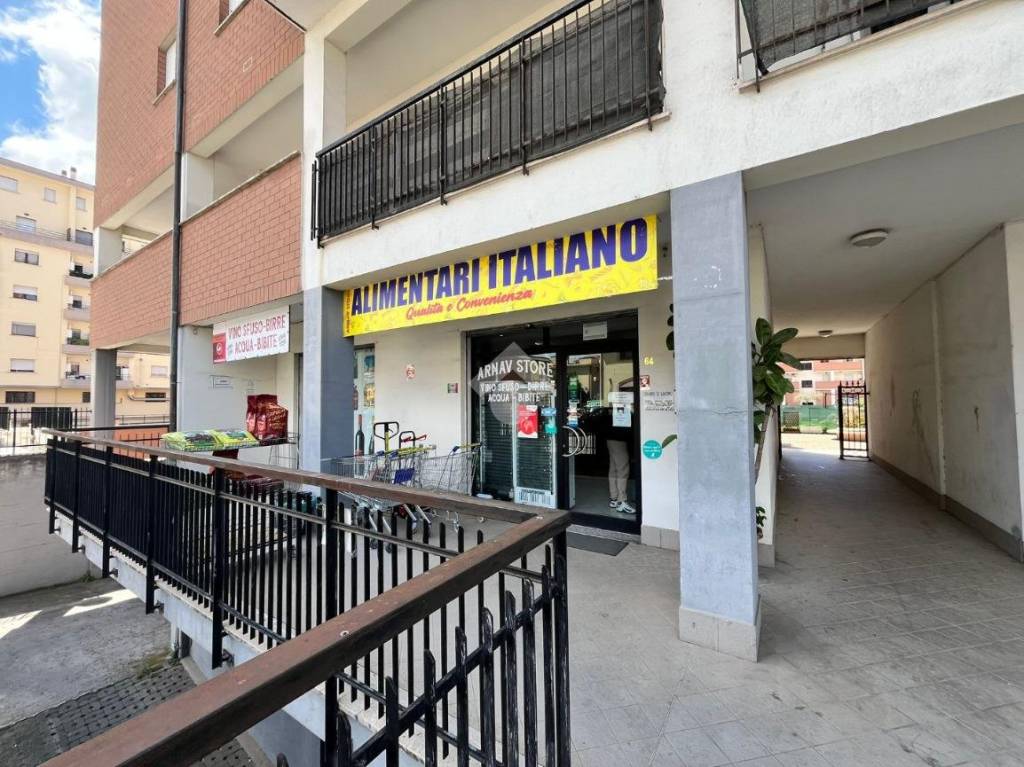 immagine annuncio 1 di 14