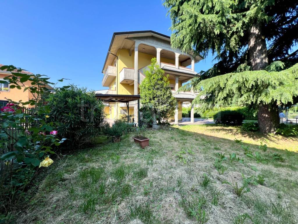 immagine annuncio 11 di 15