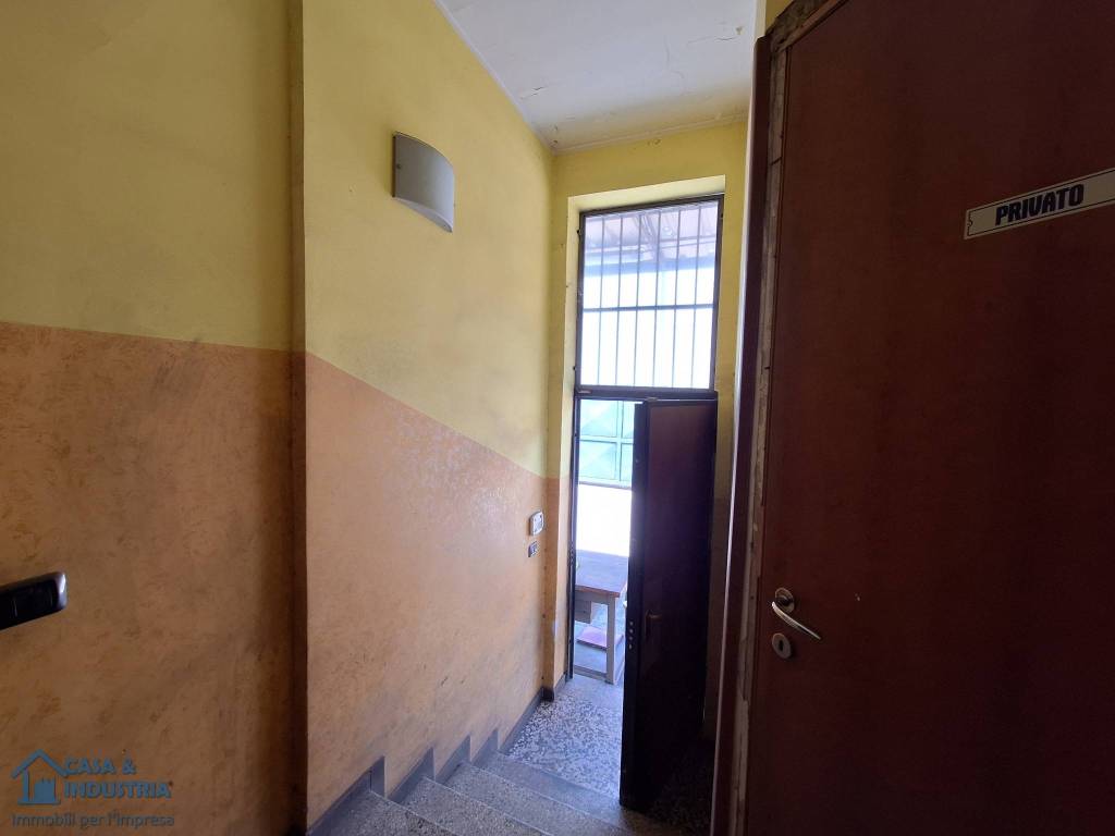 immagine annuncio 9 di 13