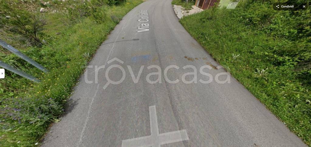 immagine annuncio 10 di 12