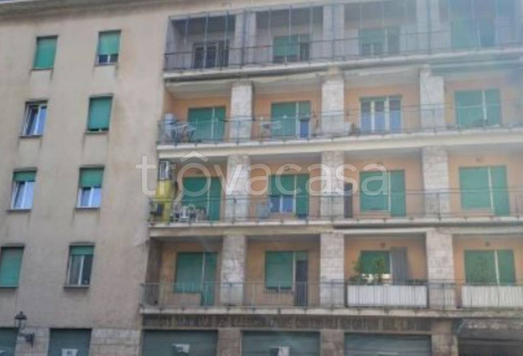 immagine annuncio 2 di 12
