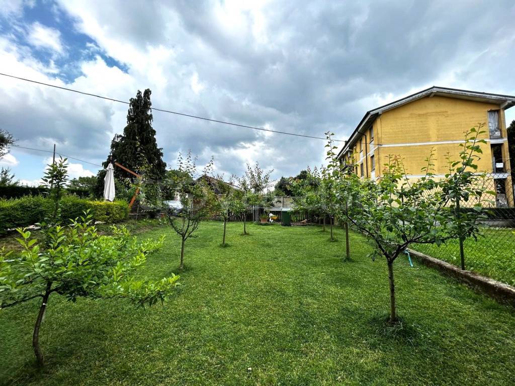 immagine annuncio 5 di 15