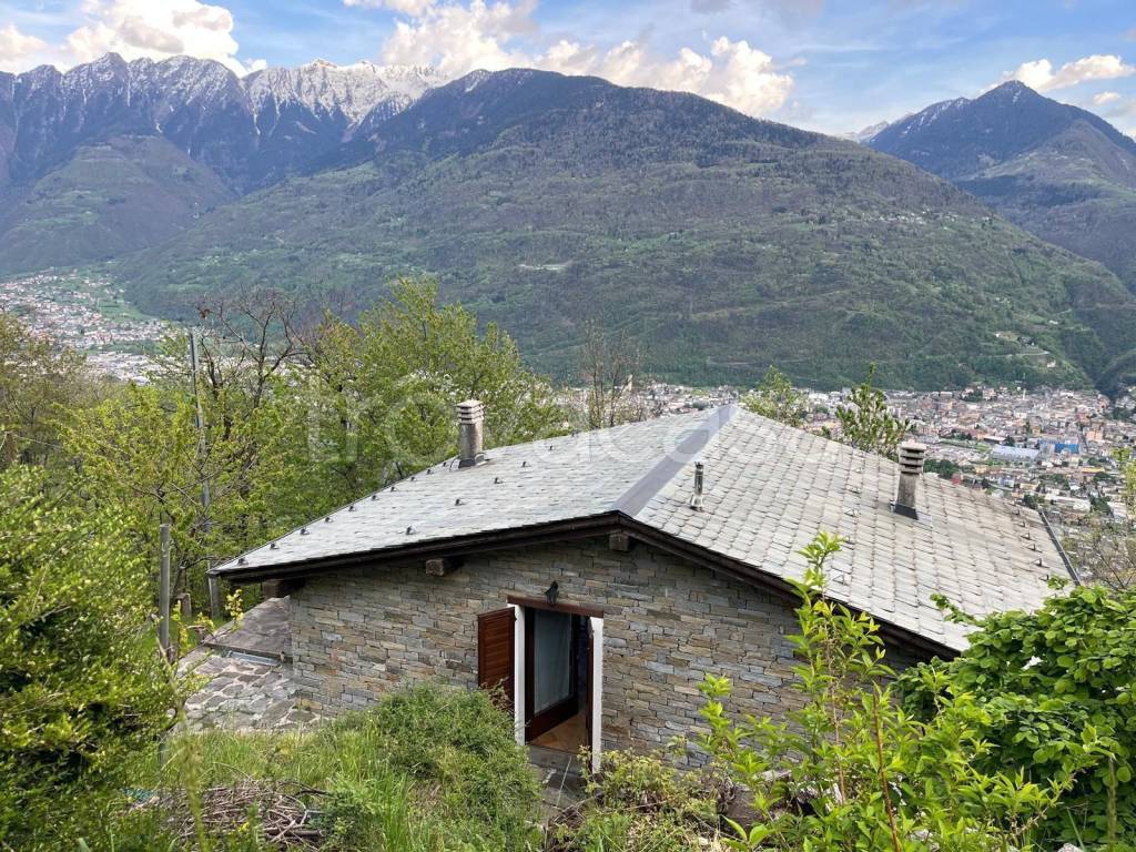 immagine annuncio 3 di 13