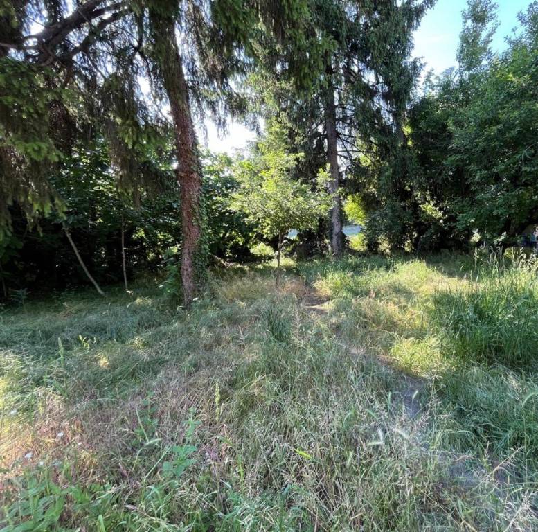 immagine annuncio 6 di 7