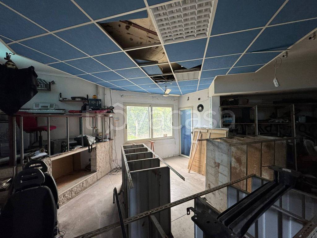 immagine annuncio 8 di 14