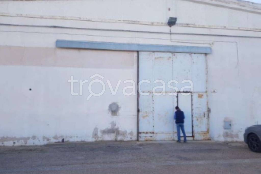 immagine annuncio 3 di 12