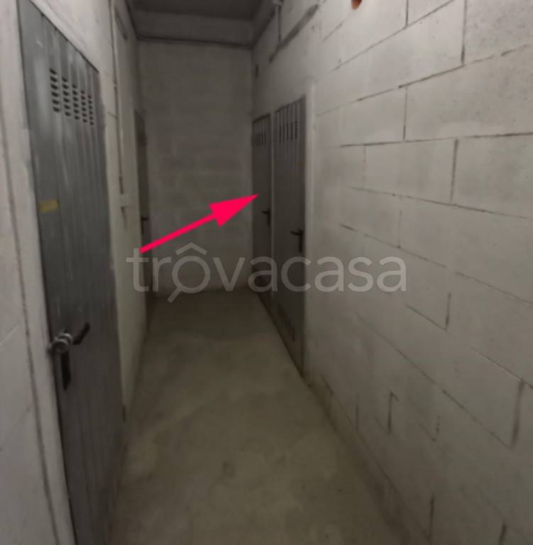 immagine annuncio 7 di 12