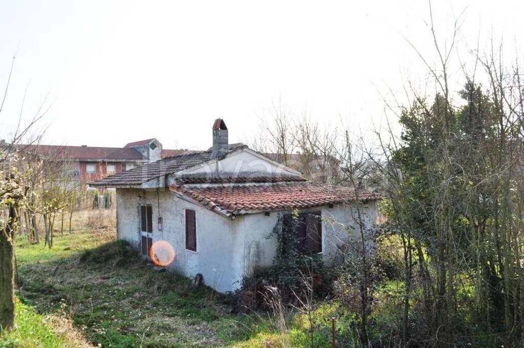 immagine annuncio 1 di 13