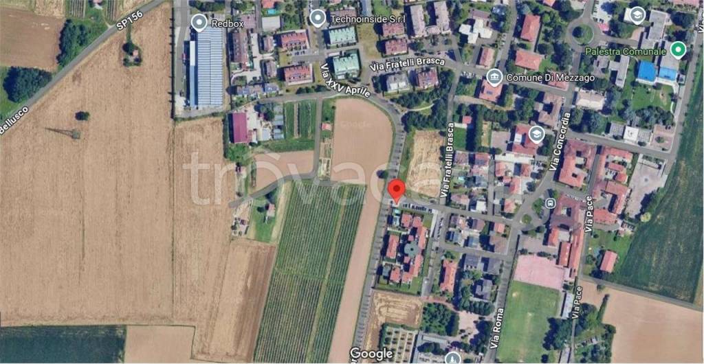 immagine annuncio 1 di 11