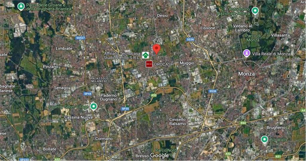 immagine annuncio 3 di 11