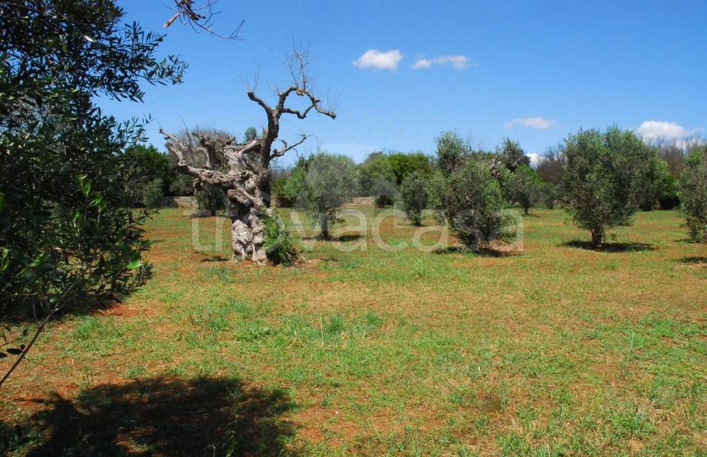 immagine annuncio 4 di 9