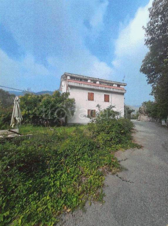 immagine annuncio 8 di 12
