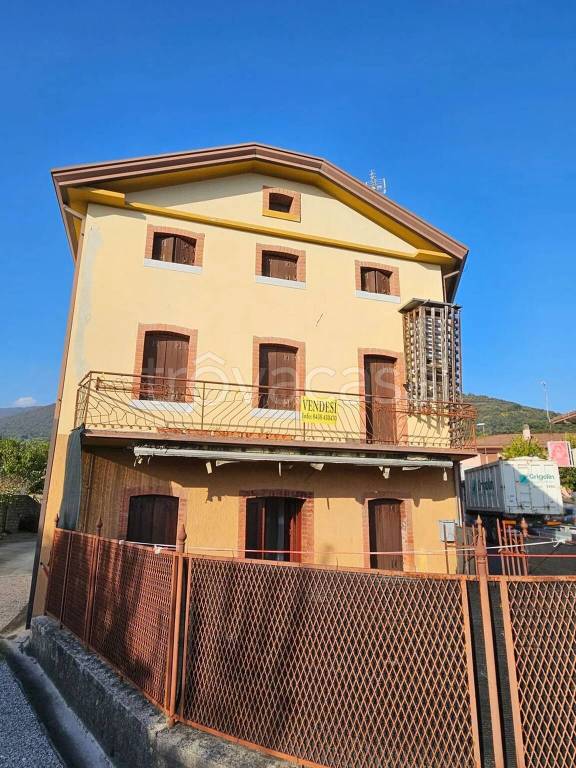 immagine annuncio 1 di 14