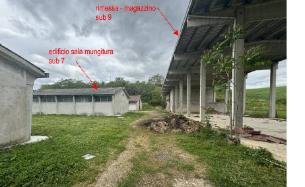immagine annuncio 9 di 12