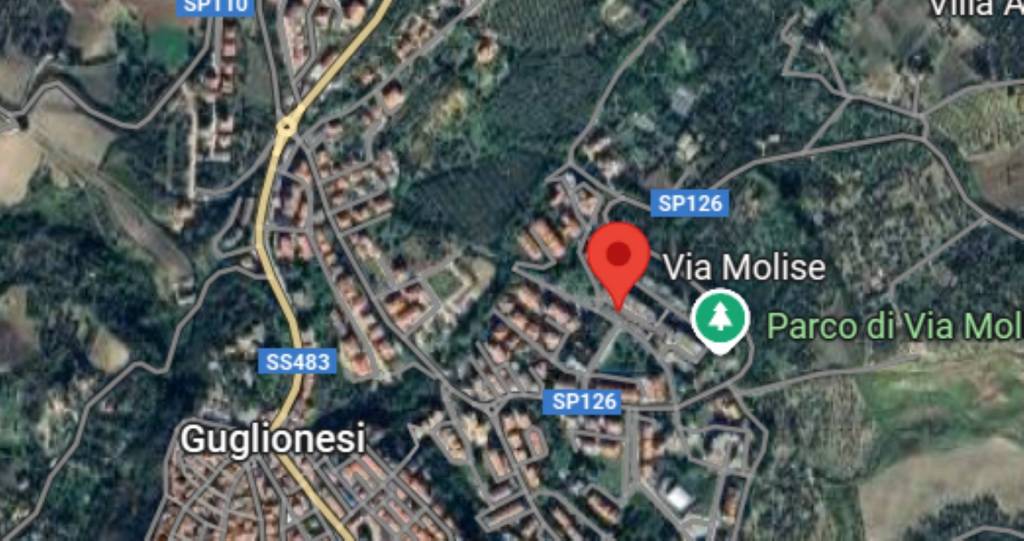 immagine annuncio 6 di 11
