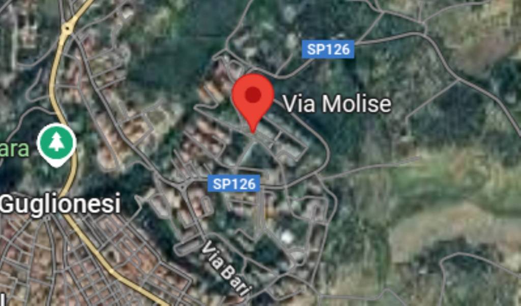 immagine annuncio 7 di 11