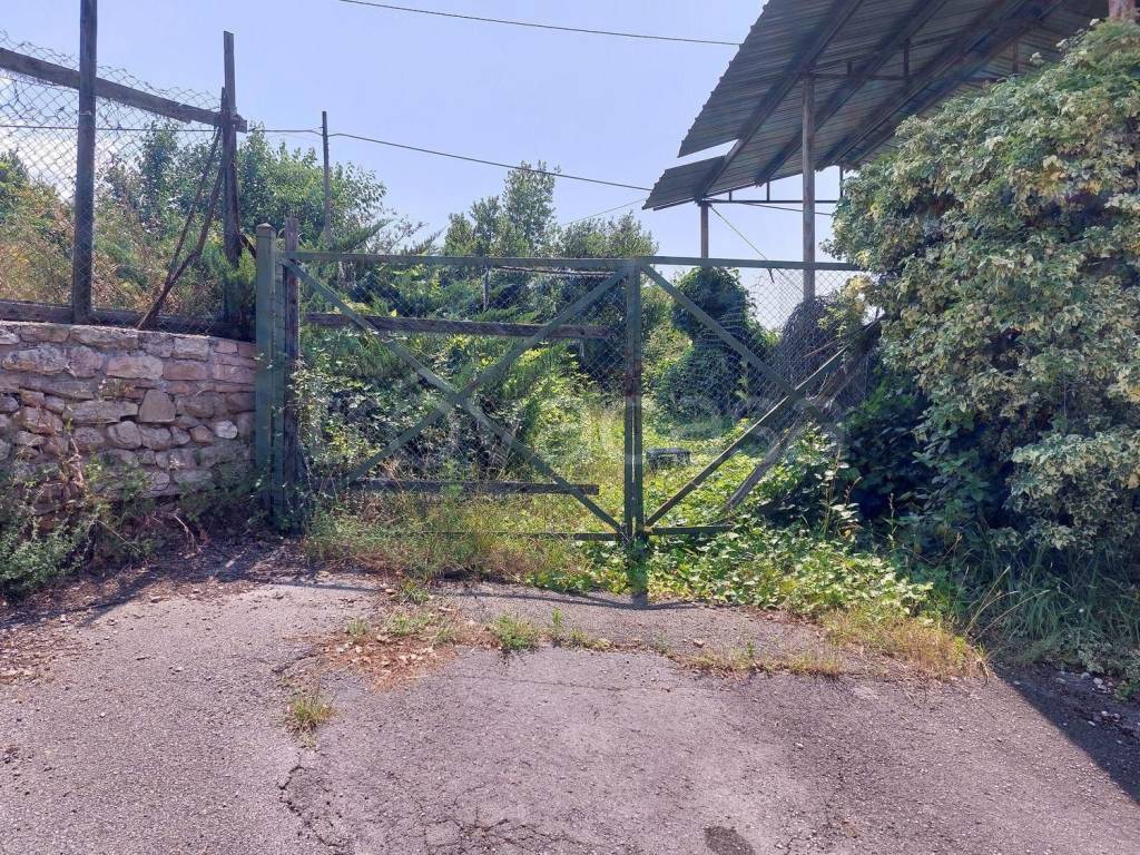 immagine annuncio 5 di 14
