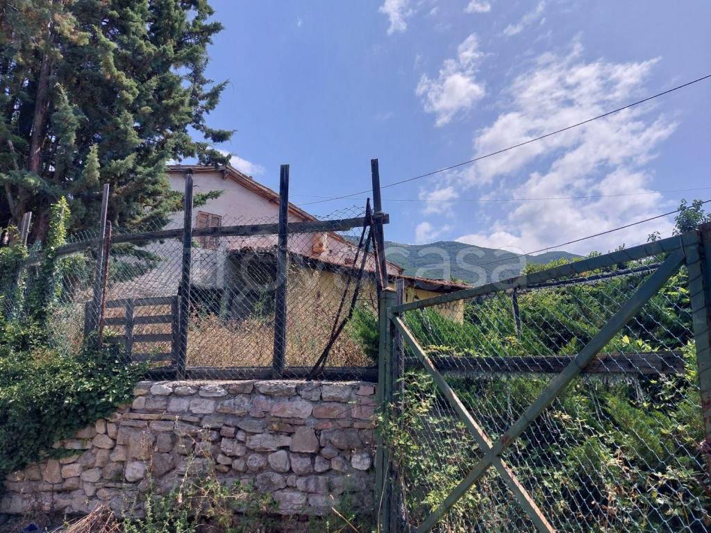 immagine annuncio 7 di 14