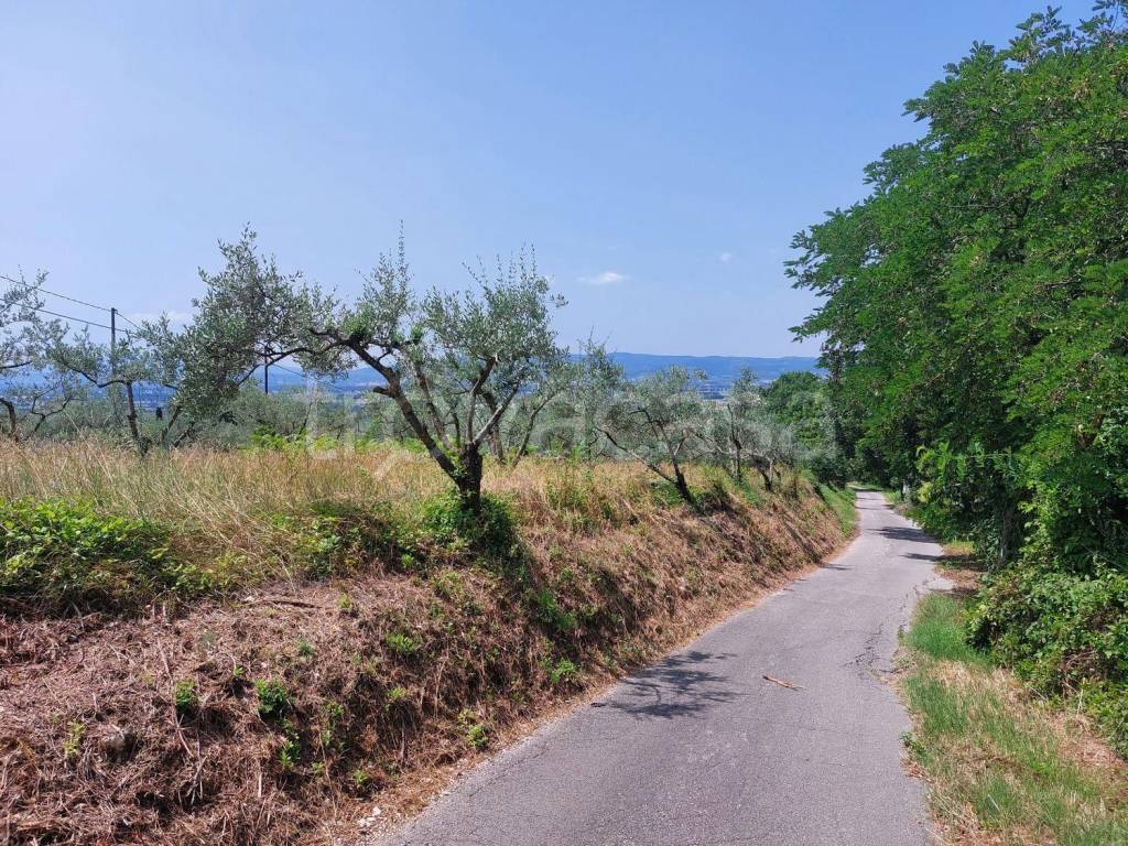 immagine annuncio 9 di 14