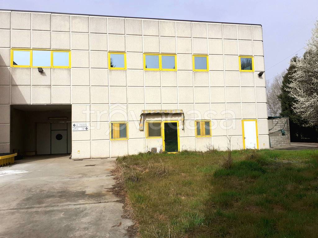 immagine annuncio 5 di 15