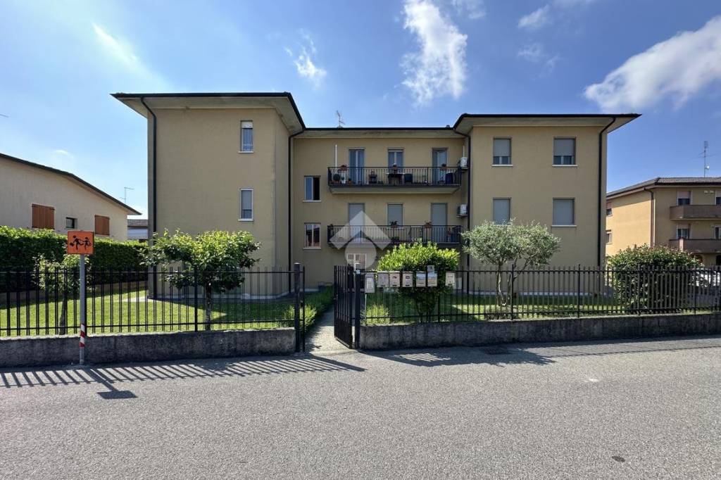 immagine annuncio 1 di 15