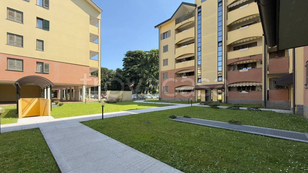 immagine annuncio 6 di 15