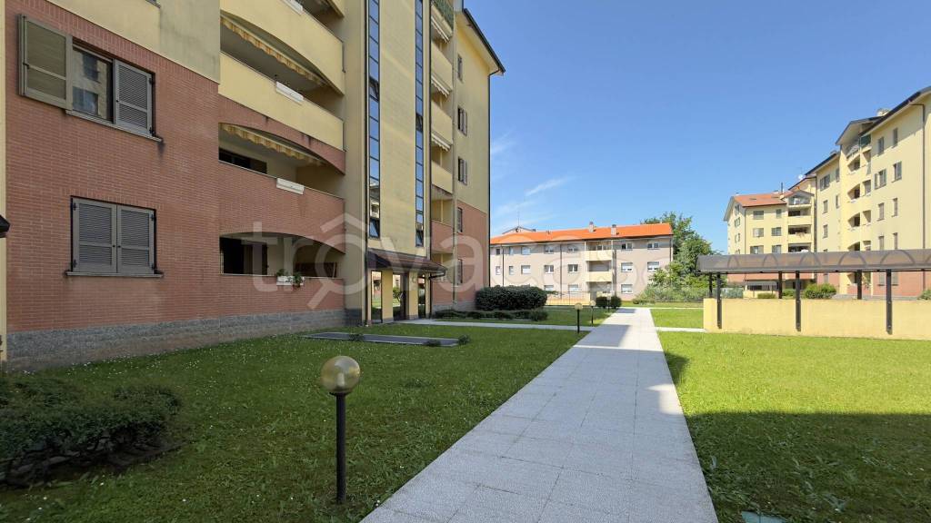 immagine annuncio 5 di 15
