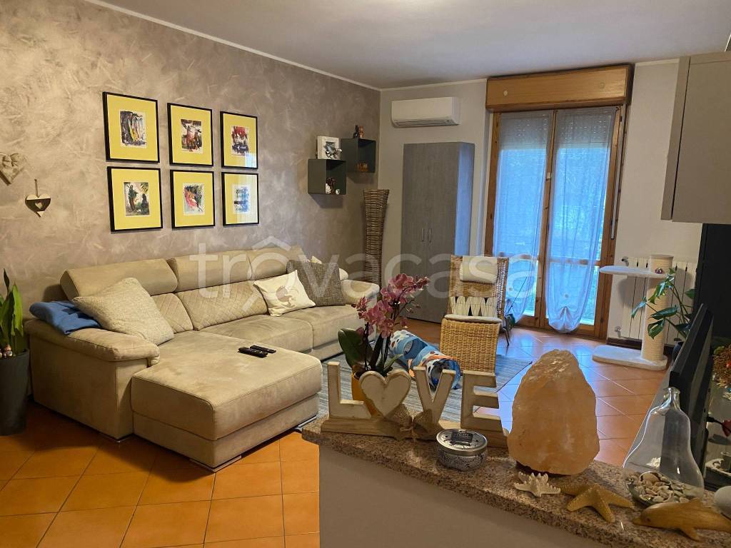 immagine annuncio 7 di 15