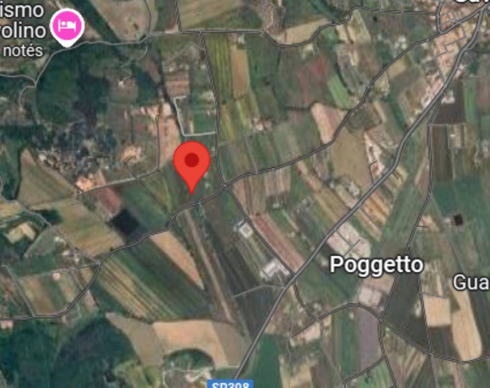 immagine annuncio 7 di 11