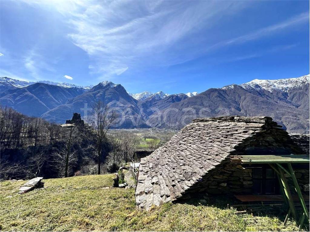 immagine annuncio 2 di 12