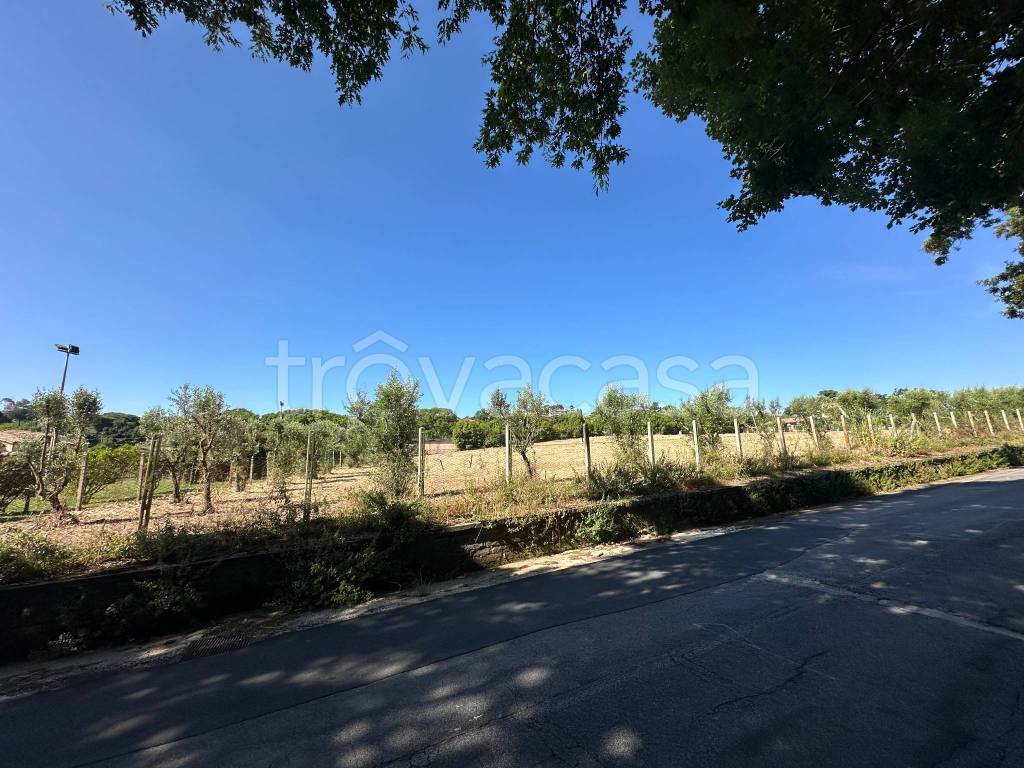 immagine annuncio 4 di 6