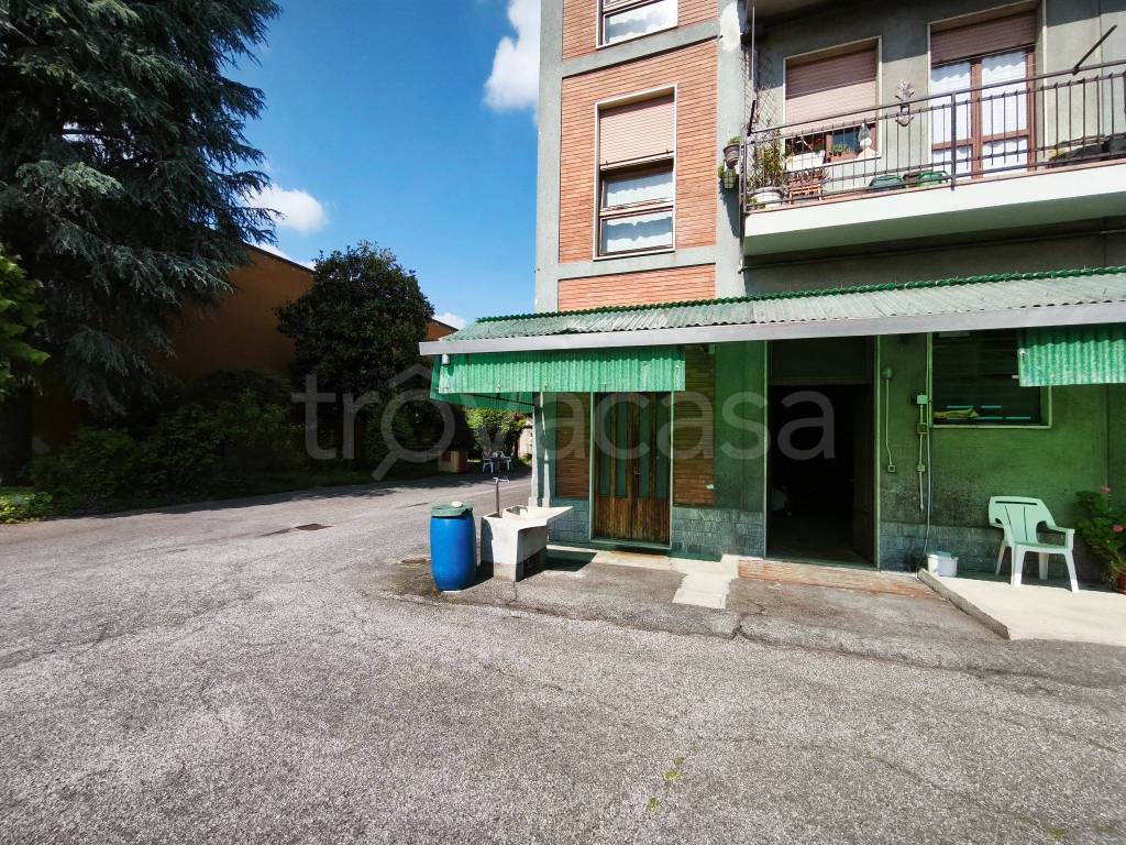 immagine annuncio 3 di 15