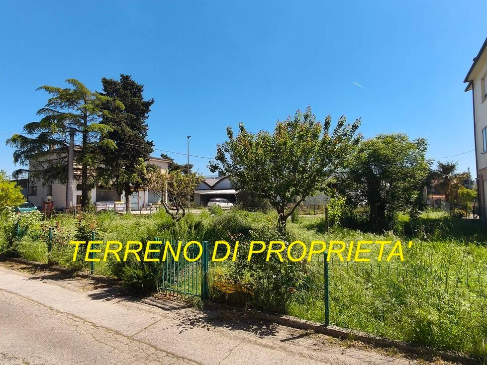 immagine annuncio 4 di 9