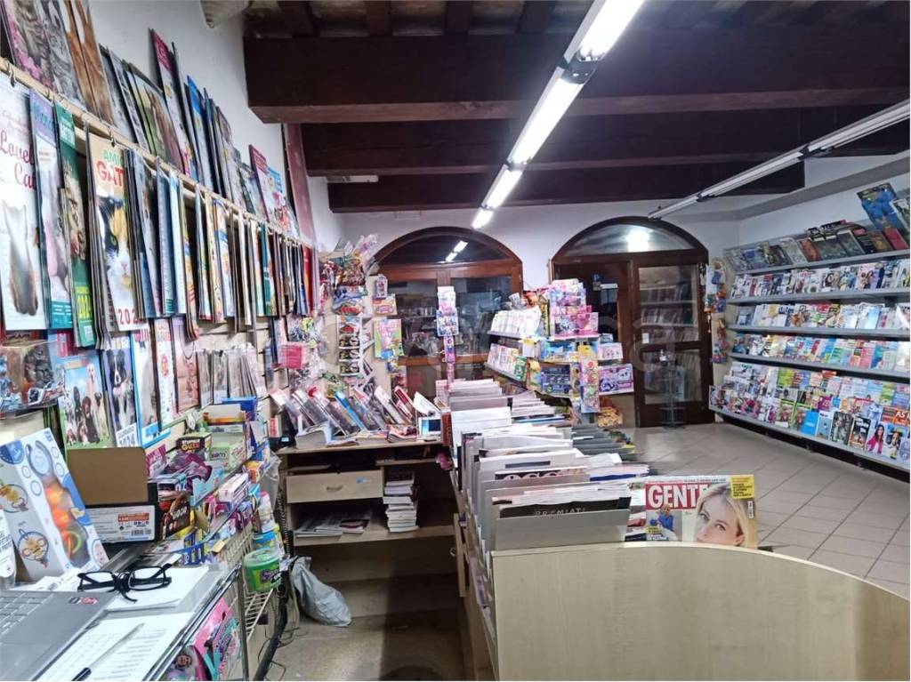 immagine annuncio 4 di 13