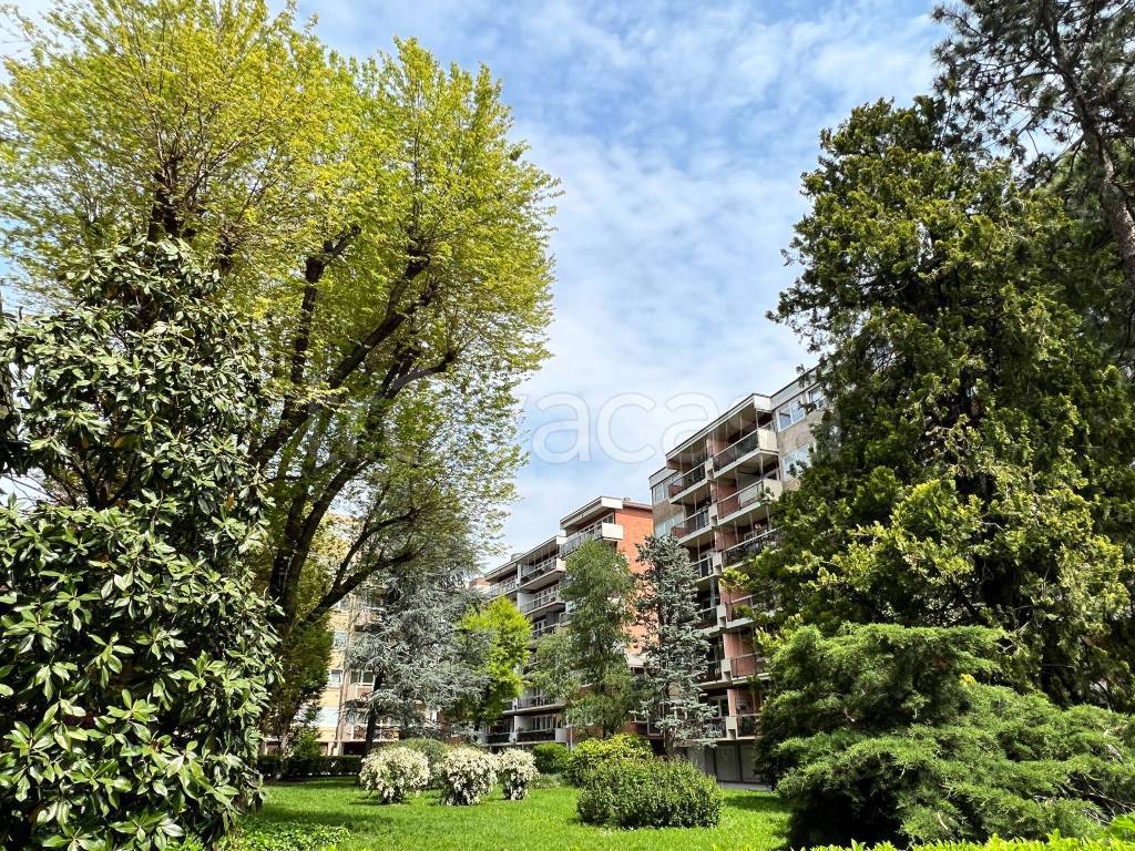 immagine annuncio 2 di 3