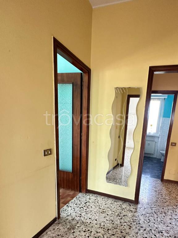 immagine annuncio 6 di 14