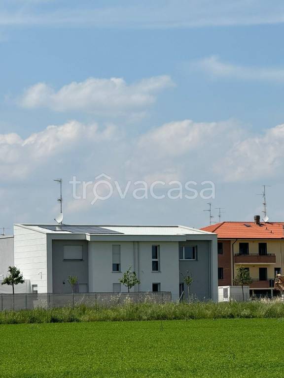 immagine annuncio 2 di 14