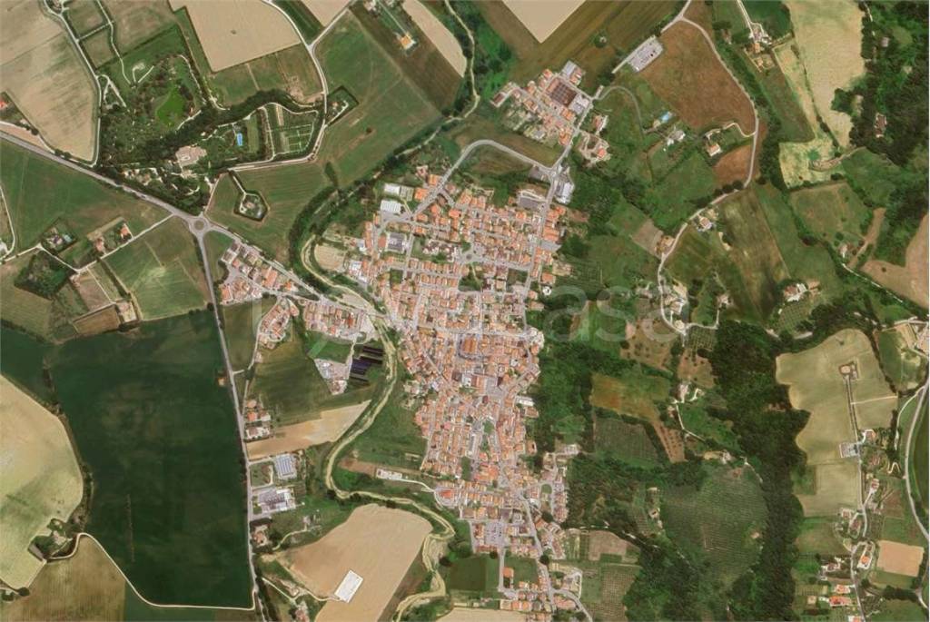 immagine annuncio 10 di 14