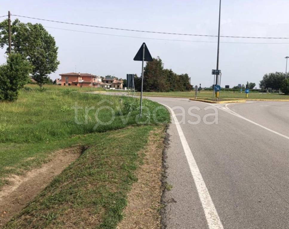 immagine annuncio 5 di 8