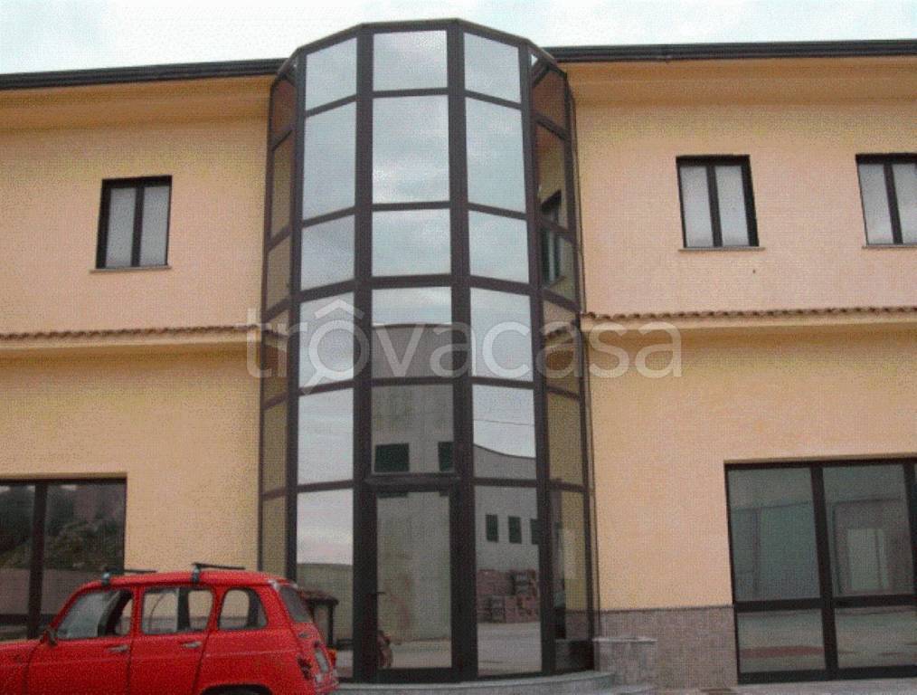 immagine annuncio 11 di 12