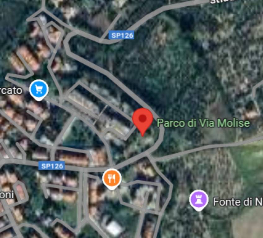 immagine annuncio 6 di 10