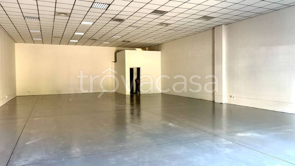 immagine annuncio 4 di 11