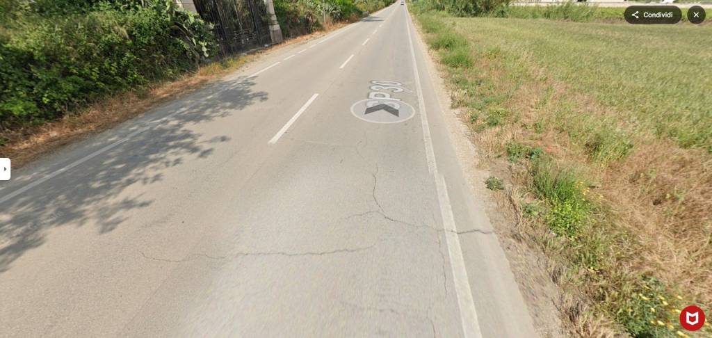 immagine annuncio 6 di 11