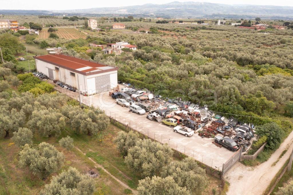 immagine annuncio 2 di 7